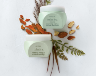 Buy AVEDA Online  ZALORA Malaysia u0026 Brunei