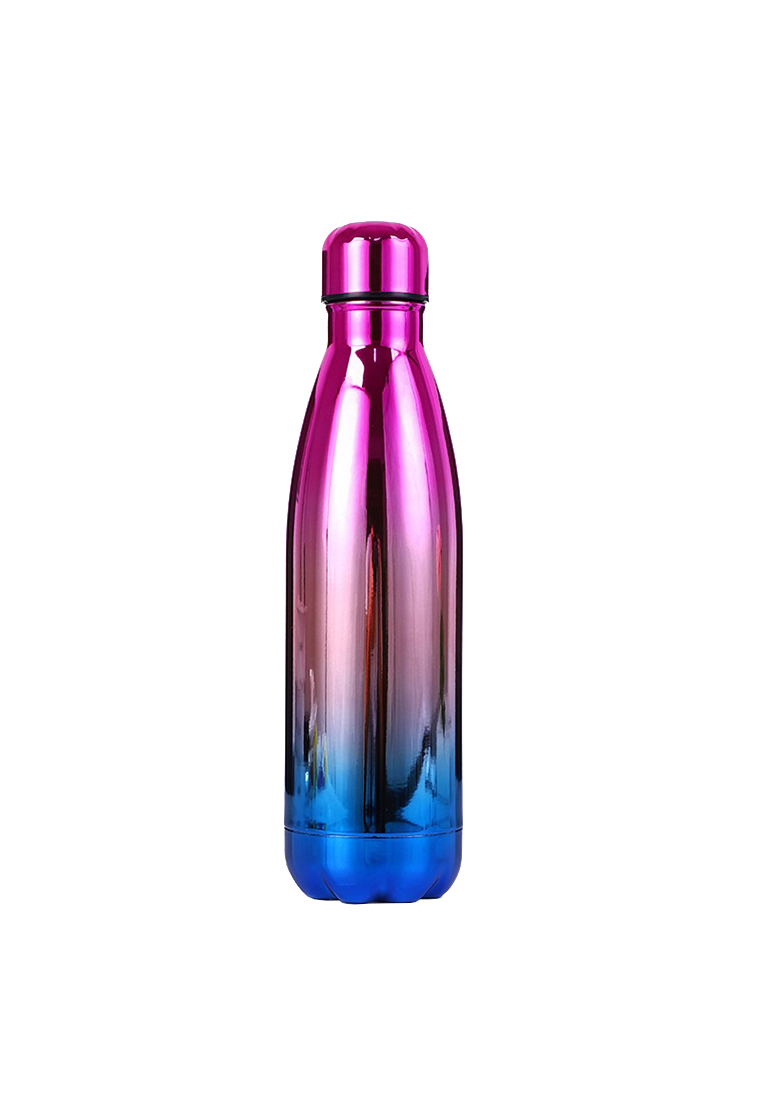 A FRENZ Vacuum Insulated Stainless Steel Thermal Water Bottle