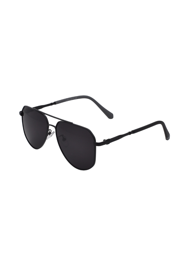 Dandelion Aviator Textured Temple Detailing Sunglasses