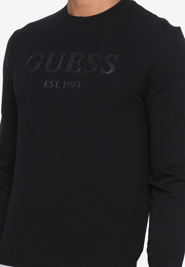 guess sweater