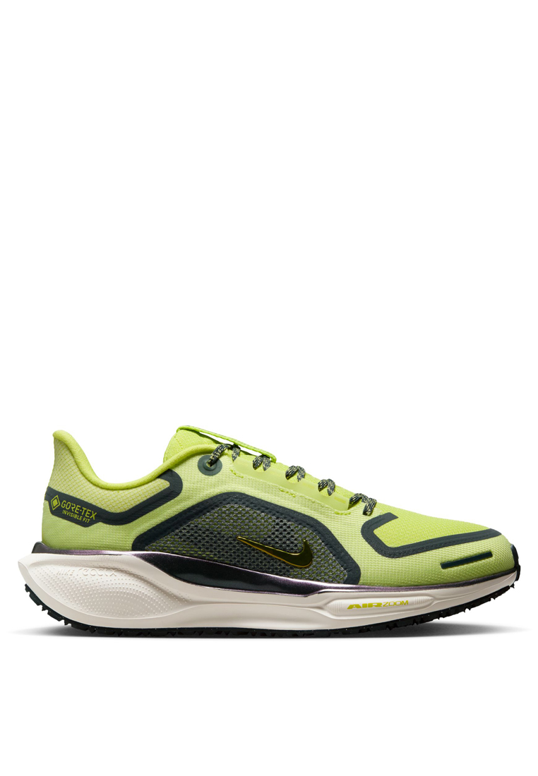 Nike Pegasus 41 GORE-TEX Shoes