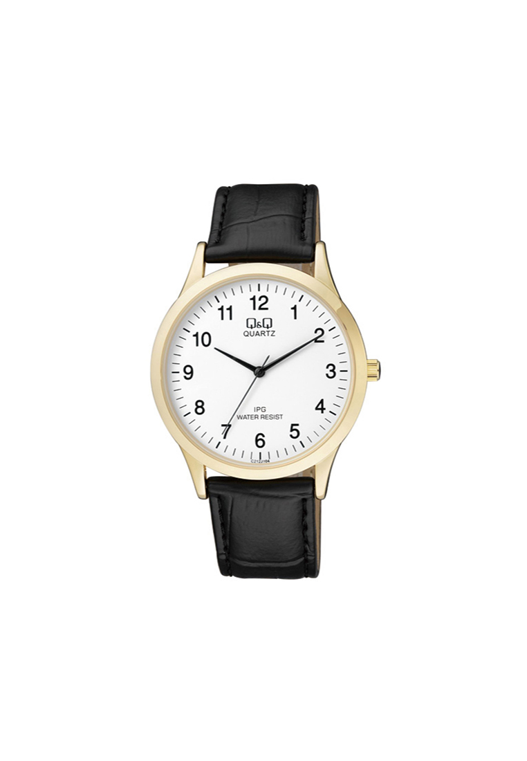 Q&Q C212J104Y Men Analog Watch with Black Leather Strap