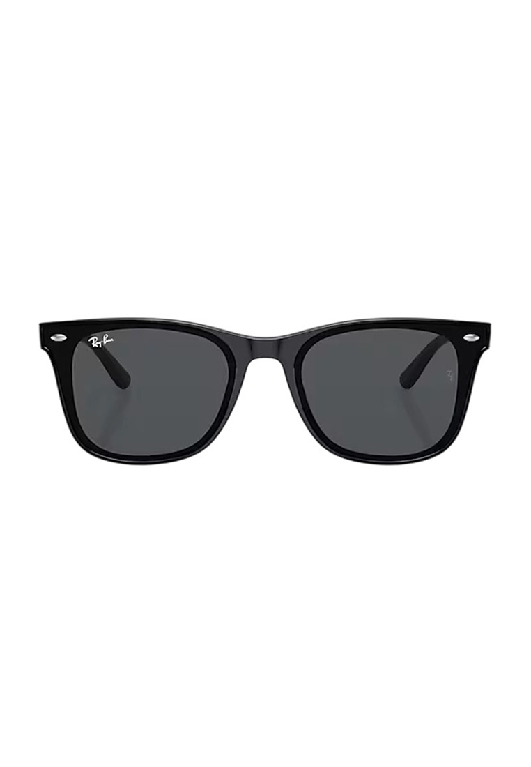 Ray-Ban Unisex Eyeglasses in Polished Black 0RB4391D
