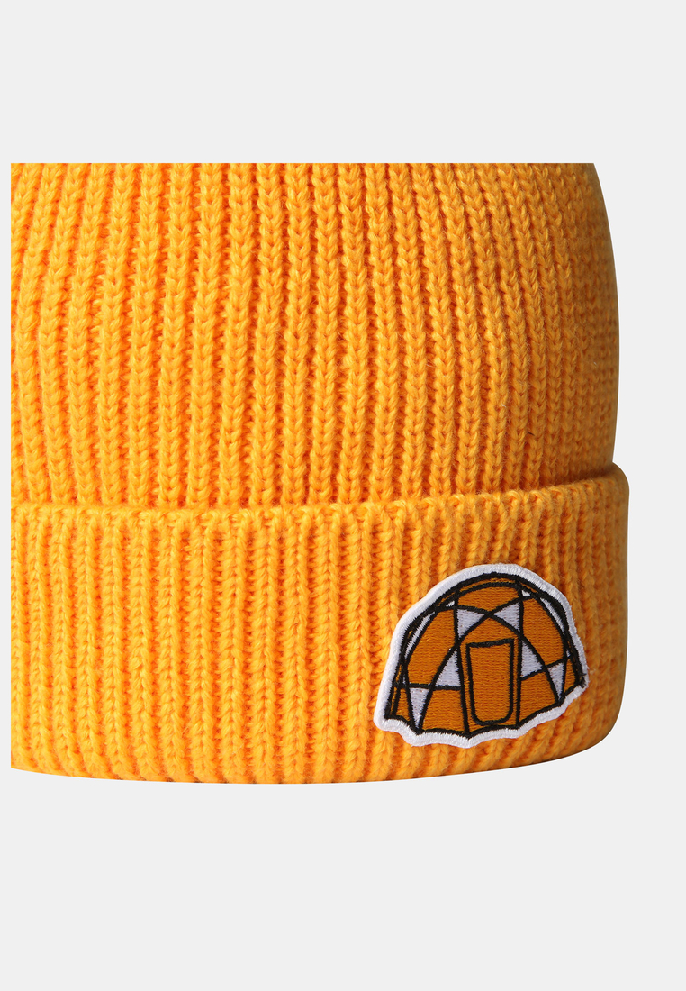 The North Face The North Face Logo Box Cuffed Beanie